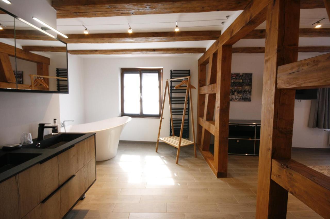 App'Art - Le T Avec Sauna Kaysersberg-Vignoble Kültér fotó